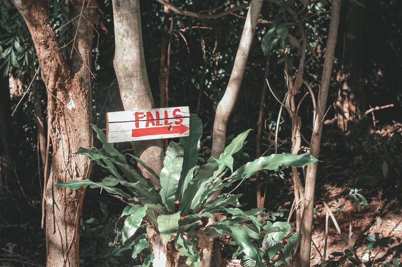 La Vie Adventure Trails 호텔 Salabusob 외부 사진